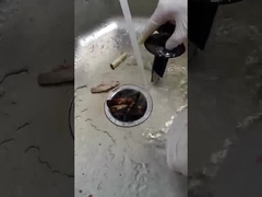 2800 dev/dak 200*200*400mm İsteğe Bağlı Anahtarlı Gıda Atığı Öğütücü